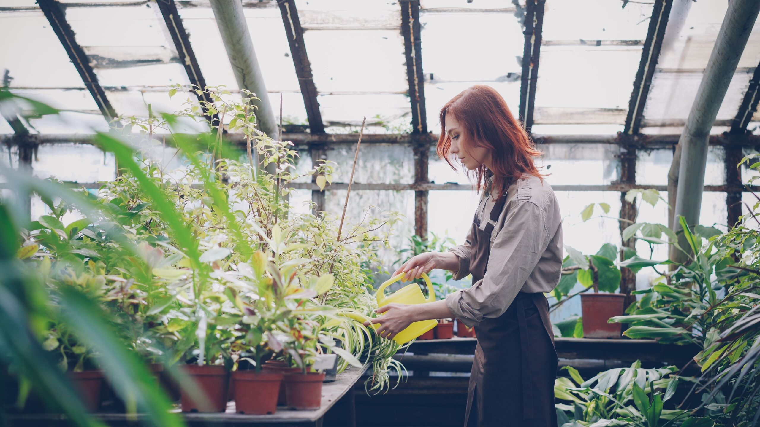 A woman tending to plants in a sunny greenhouse, promoting growth.